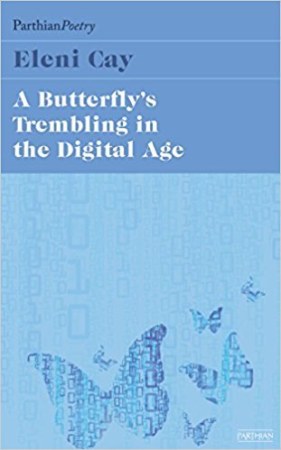 Butterflys Tremblings in the Digital Age