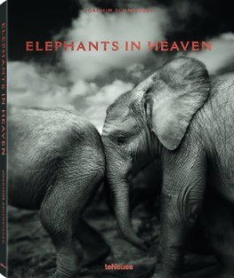 Elephants in Heaven - Joachim Schmeisser