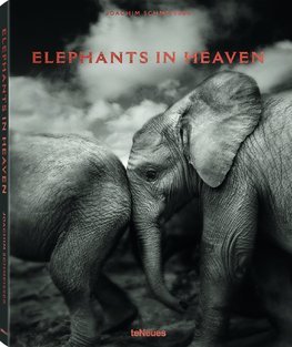 Kniha Elephants in Heaven