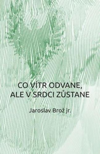Kniha Co vítr odvane, ale v srdci zůstane
