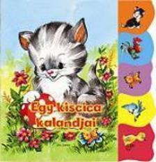 Kniha Egy kiscica kalandjai - neuvedený,Zsuzsa Radványi