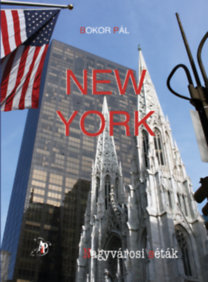 Kniha New York - Nagyvárosi séták - Pál Bokor