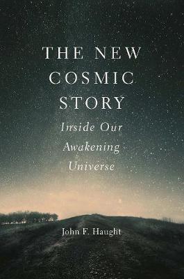 New Cosmic Story