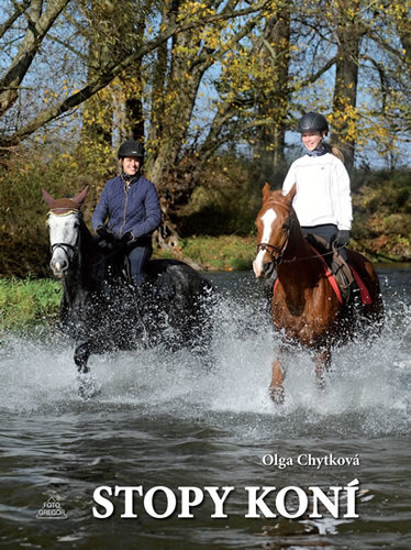 Kniha Stopy koní