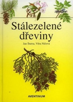 Stálezelené dřeviny