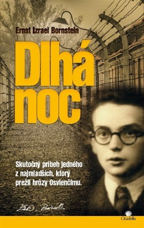 Dlhá noc