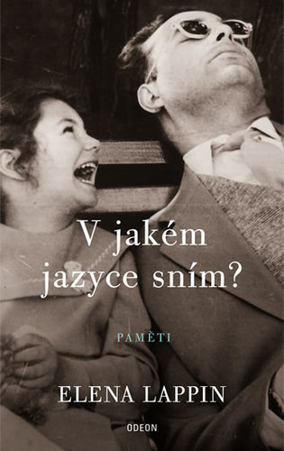 Kniha V jakém jazyce sním? - Lappin Elena