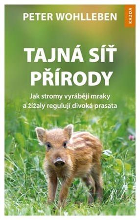 Tajná síť přírody - Peter Wohlleben