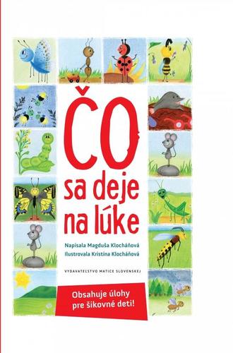 Kniha Čo sa deje na lúke - Magduša Klocháňová
