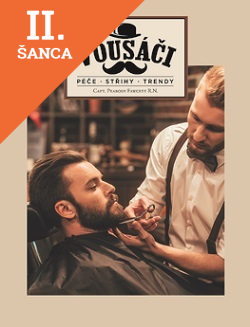 Lacná kniha Vousáči - péče, střihy, trendy