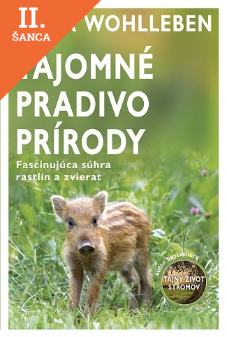 Lacná kniha Tajomné pradivo prírody