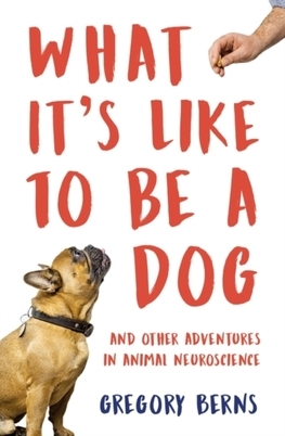 What Its Like to Be a Dog