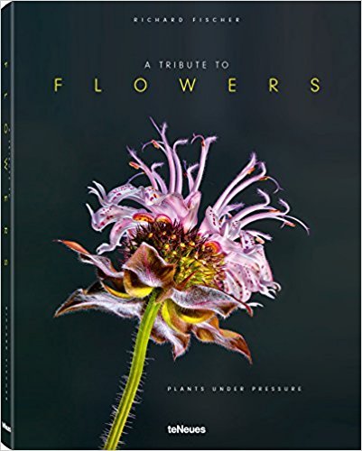 A Tribute to FLOWERS - Richard Fischer