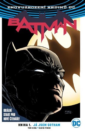 Kniha Batman Já jsem Gotham
