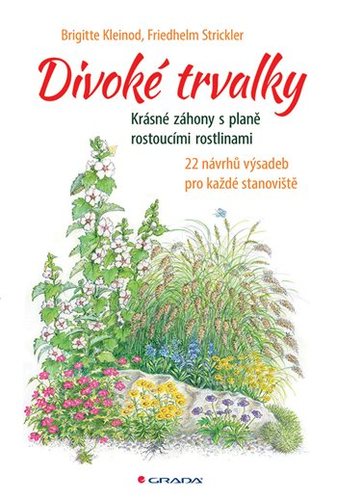 Divoké trvalky - Brigitte Kleinod,Friedhelm Strickler