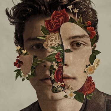 Kniha Mendes Shawn - Shawn Mendes CD