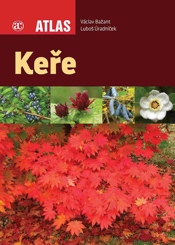 Kniha Keře