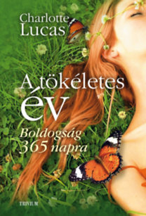 Kniha A tökéletes év - Boldogság 365 napra - Charlotte Lucasová
