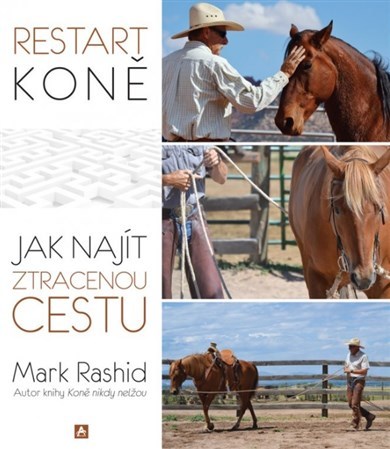 Restart koně