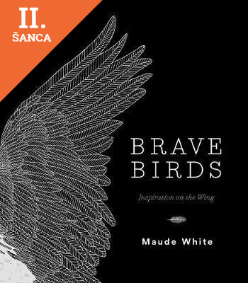 Lacná kniha Brave Birds - Inspiration on the Wing