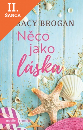 Lacná kniha Něco jako láska