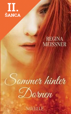 Lacná kniha Sommer Hinter Dornen