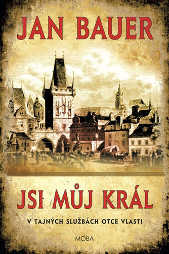 Jsi můj král - Jan Bauer