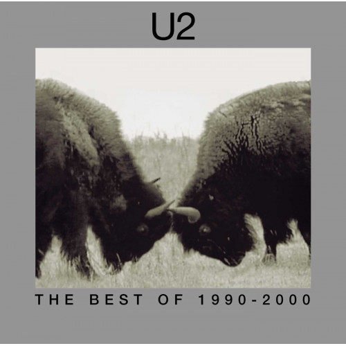 Kniha U2 - The Best Of 1990-2000 2LP