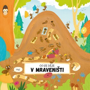 Kniha Co se děje v mraveništi - Petra Bartíková,Magdalena Takáčová