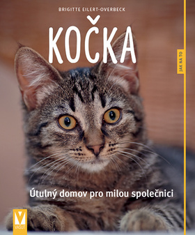 Kočka - Útulný domov pro milou společnici