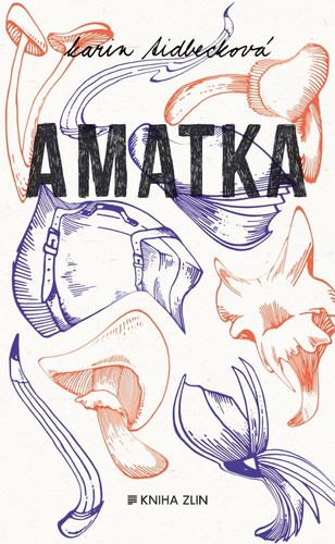 Amatka - Tidbeck Karin,Lukáš Novák