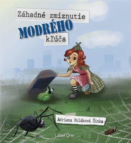 Kniha Záhadné zmiznutie modrého kľúča