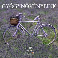 Gyógynövényeink Naptár 2019 -  22x22 cm