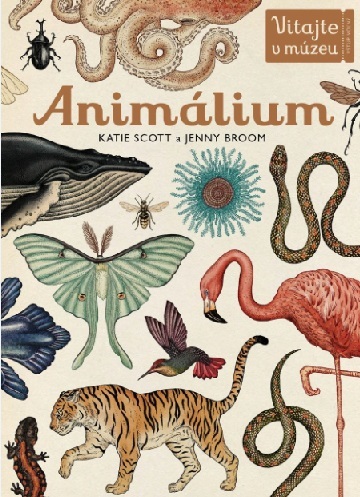 Animálium - Katie Scott,Jenny Broom