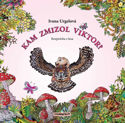 Kniha Kam zmizol Viktor - Ivana Urgelová