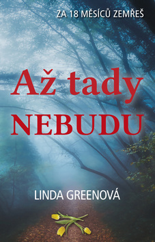 Kniha Až tady nebudu - Linda Green