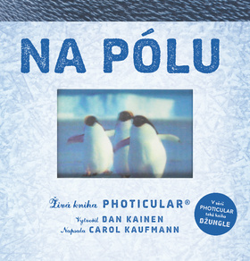 Na pólu