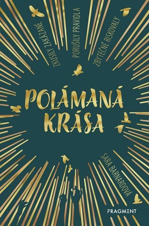 Kniha Polámaná krása - Sara Barnardová