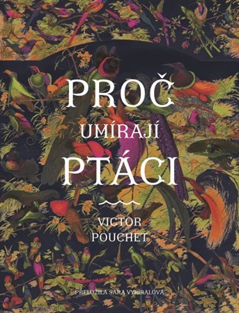 Proč umírají ptáci