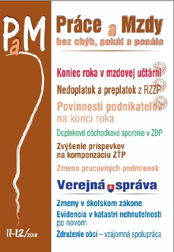 Práce a Mzdy 11-12 2018 - Koniec roka v mzdovej učtárni, Povinnosti podnikateľa na konci roka