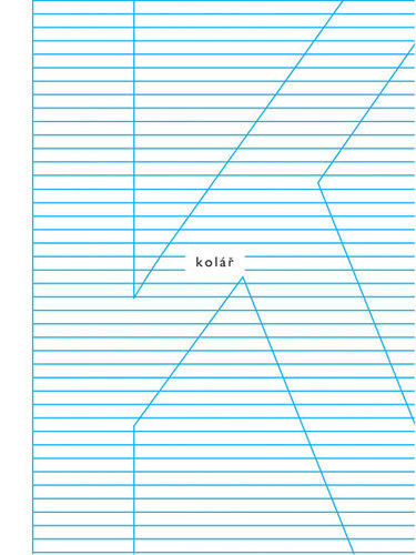 Kniha Svědek - Skvosty poezie