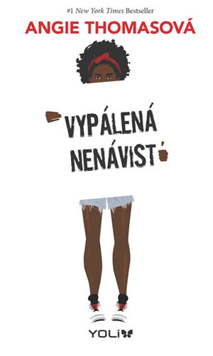 Vypálená nenávist - Angie kúpite na Panta Rhei