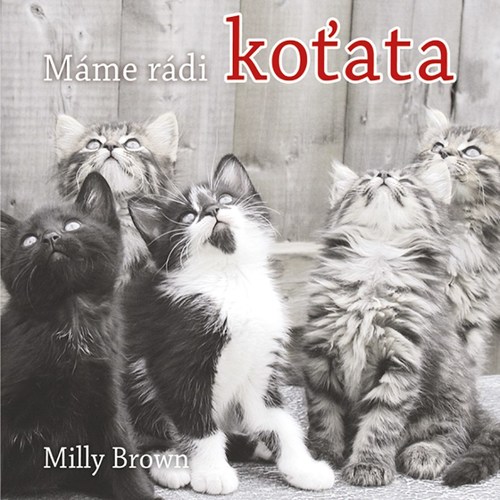 Máme rádi koťata - Milly Brown,Vlasta Hesounová