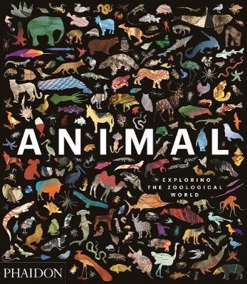 Animal Exploring the Zoological World
