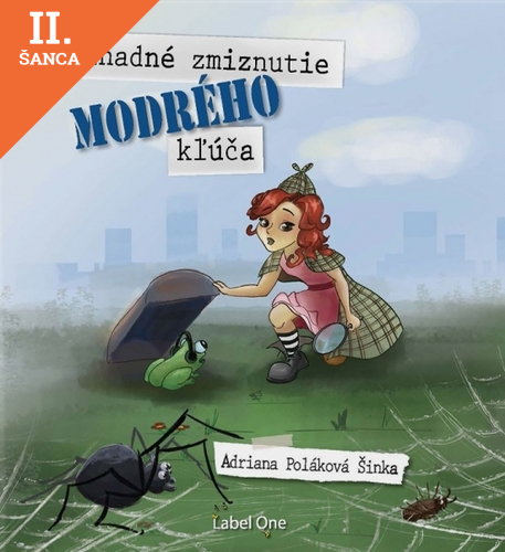 Lacná kniha Záhadné zmiznutie modrého kľúča