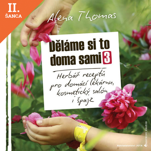 Lacná kniha Děláme si to doma sami 3