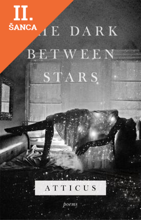 Lacná kniha The Dark Between Stars
