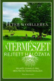 A természet rejtett hálózata