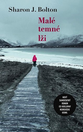 Kniha Malé temné lži - Sharon Bolton