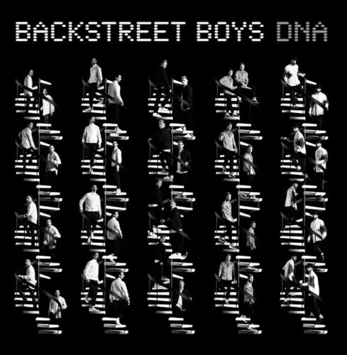 Kniha Backstreet Boys - DNA CD